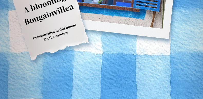 Beach Corner — English product details 13