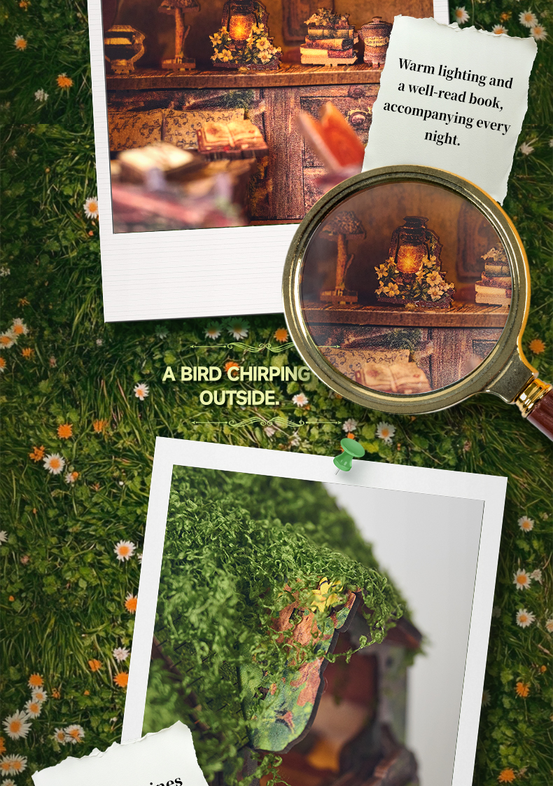 Green Vine Cottage — English product details 13