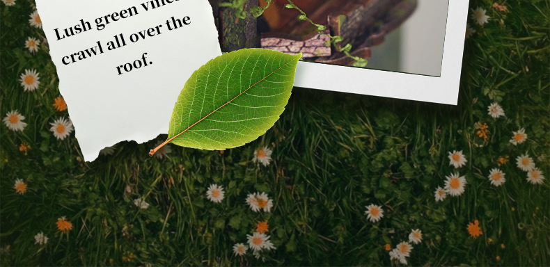 Green Vine Cottage — English product details 14